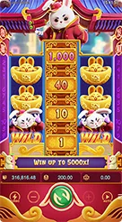777yk · Fortune Rabbit